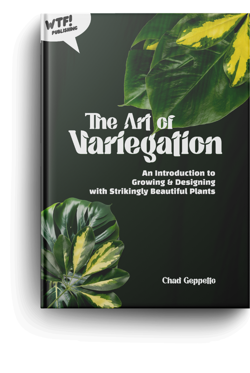 The Art of Variegation